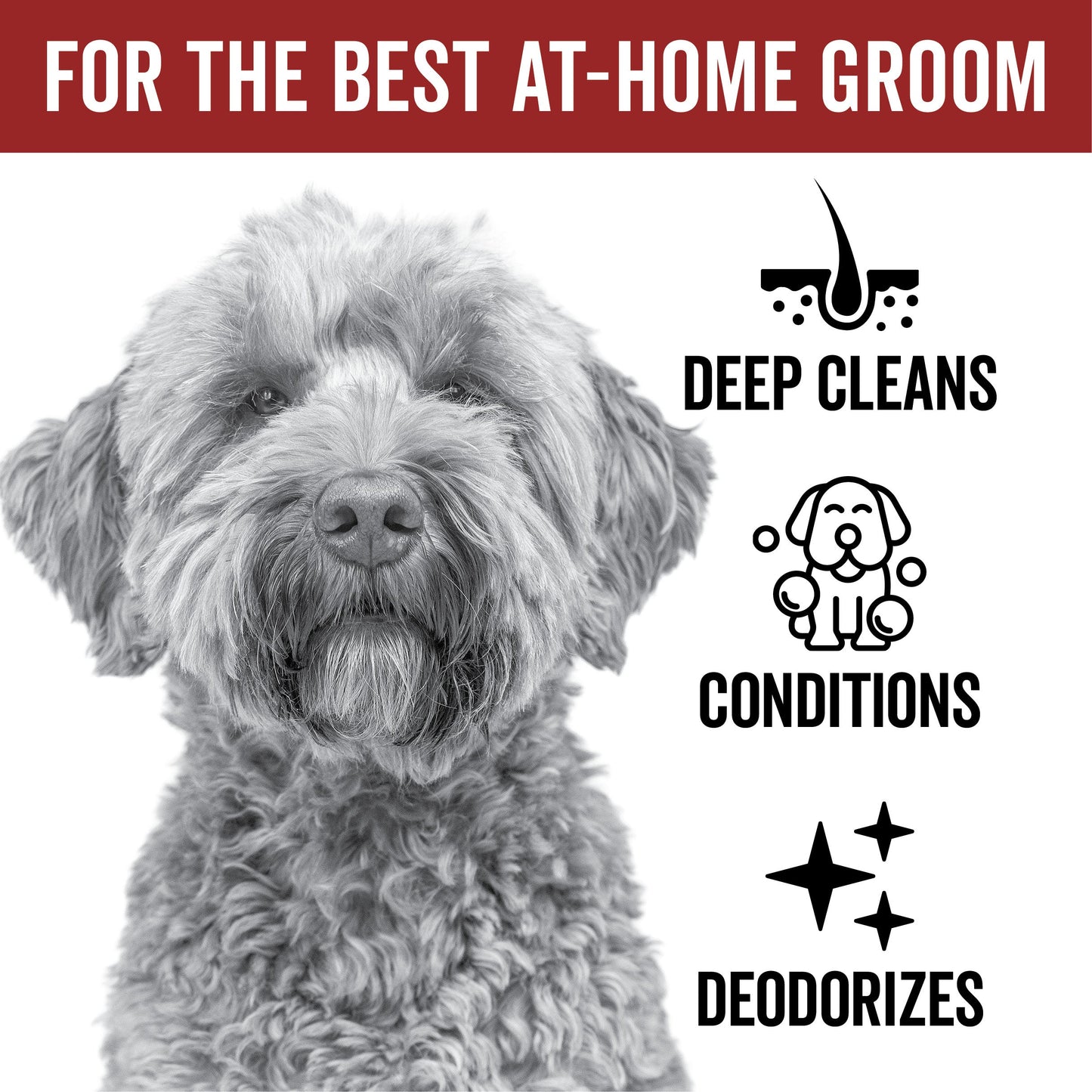 Champú hidratante para perros DOGDAYS