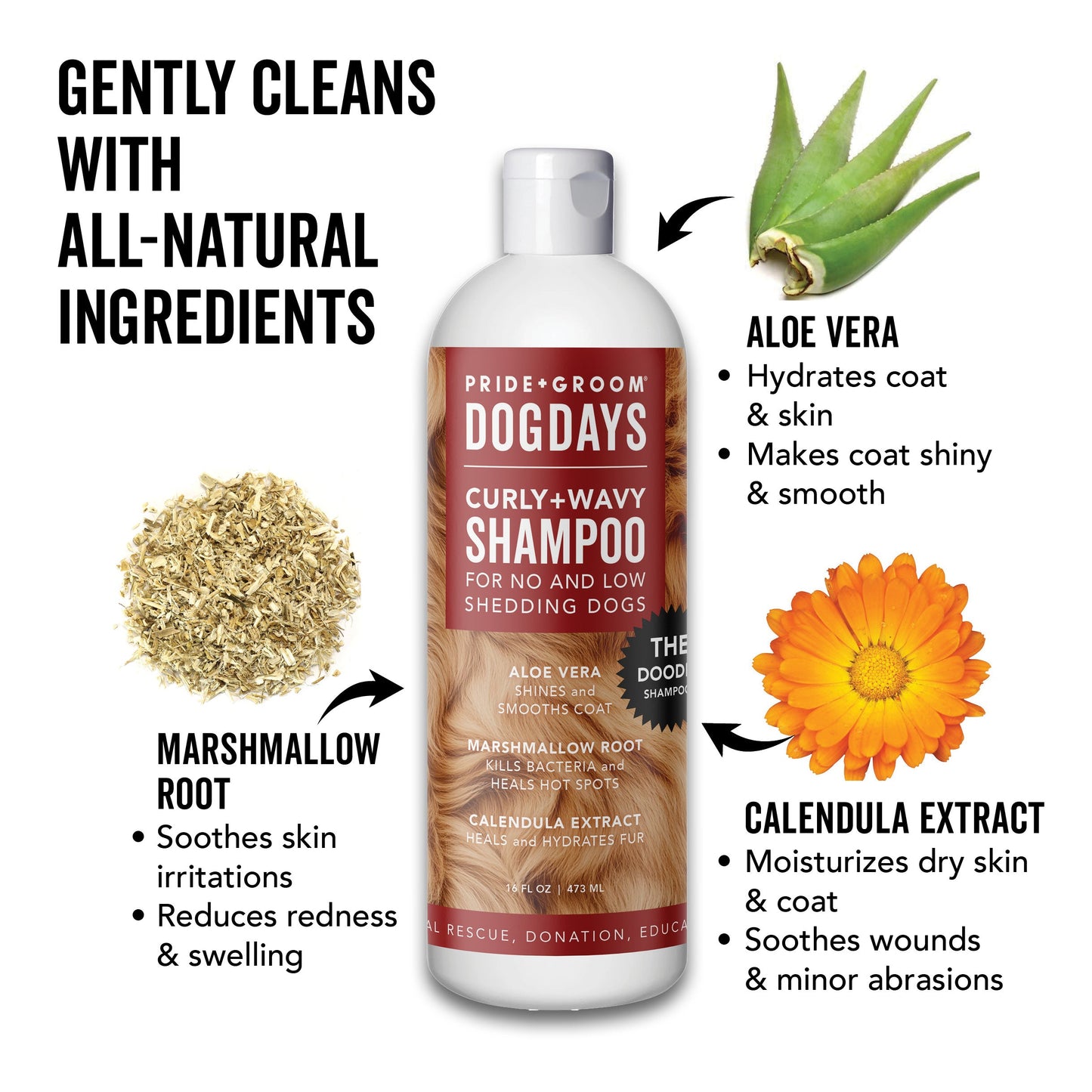 Champú hidratante para perros DOGDAYS