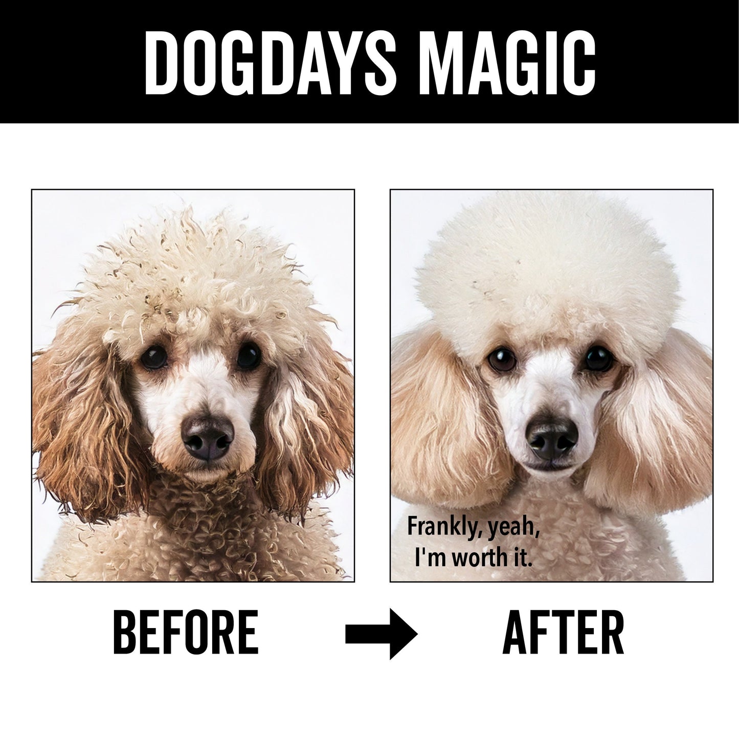 Champú hidratante para perros DOGDAYS
