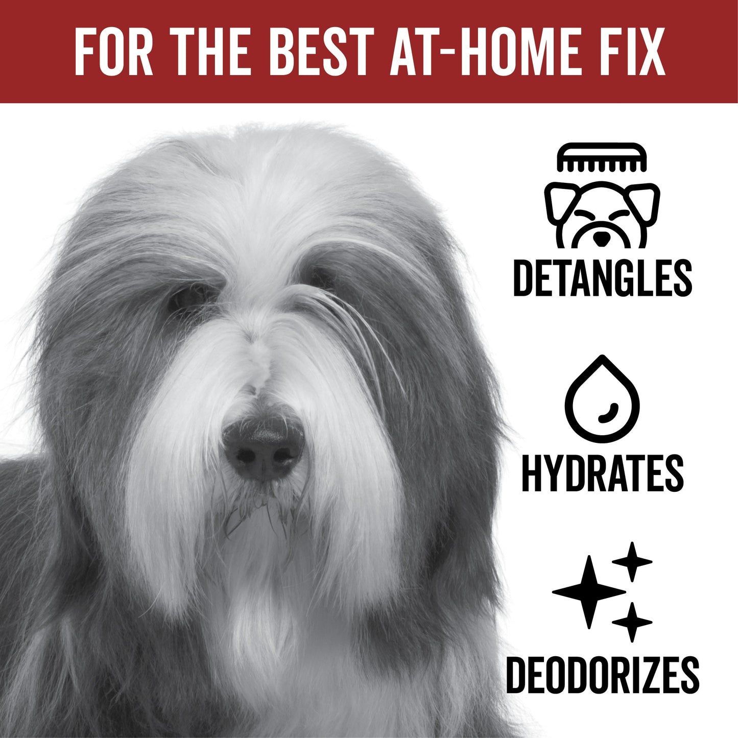 DOGDAYS Spray Desenredante sin Enjuague