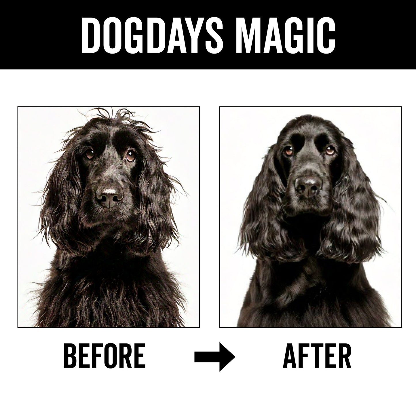 DOGDAYS Spray Desenredante sin Enjuague
