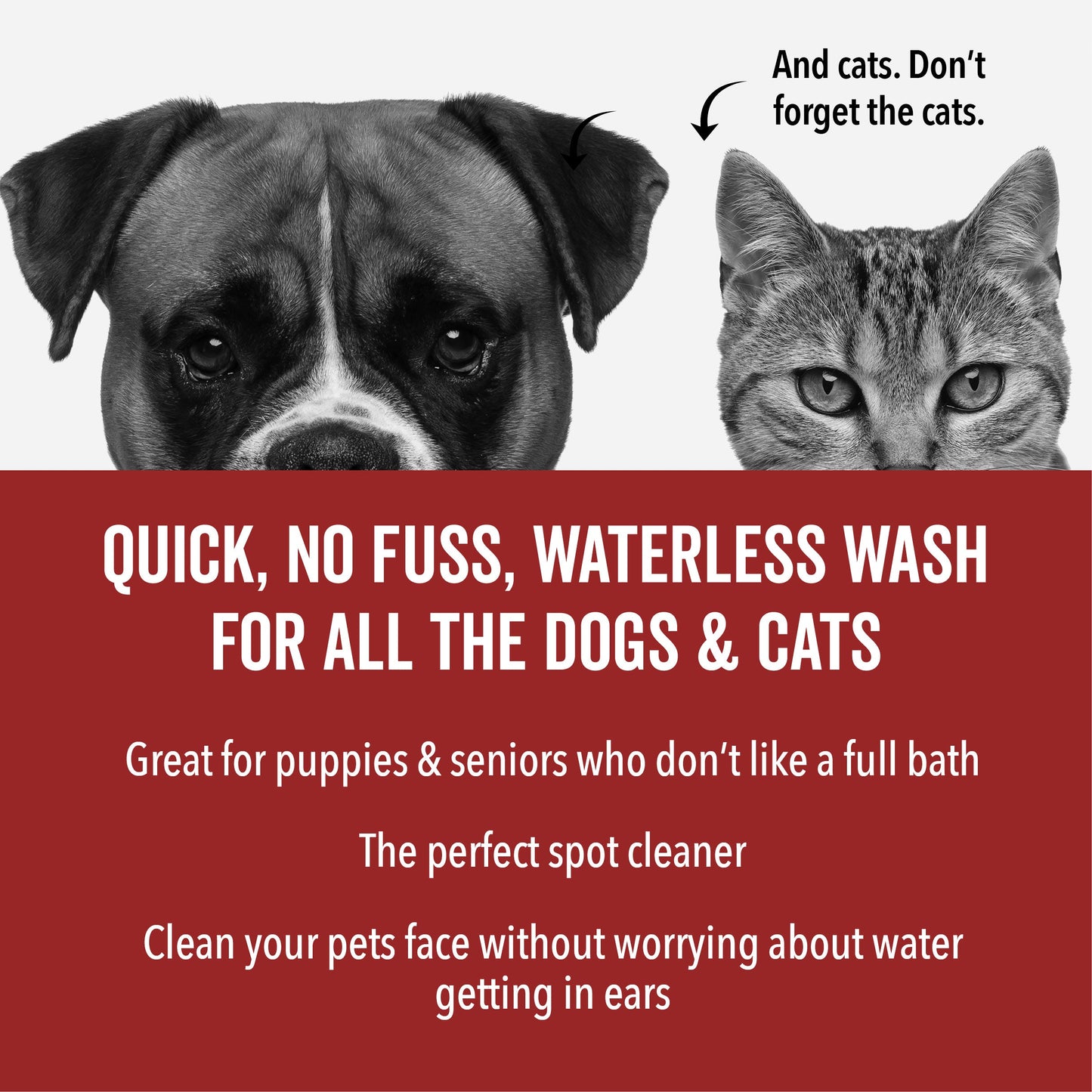 DOGDAYS Waterless Foaming Shampoo