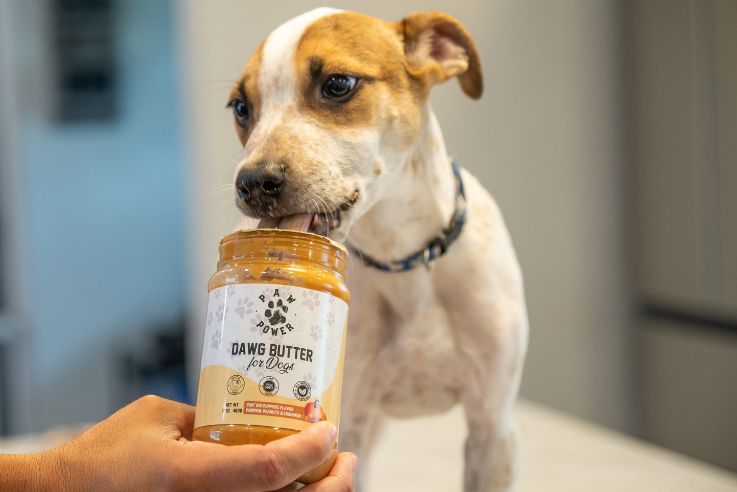 Sabor Mantequilla de Calabaza para Perritos