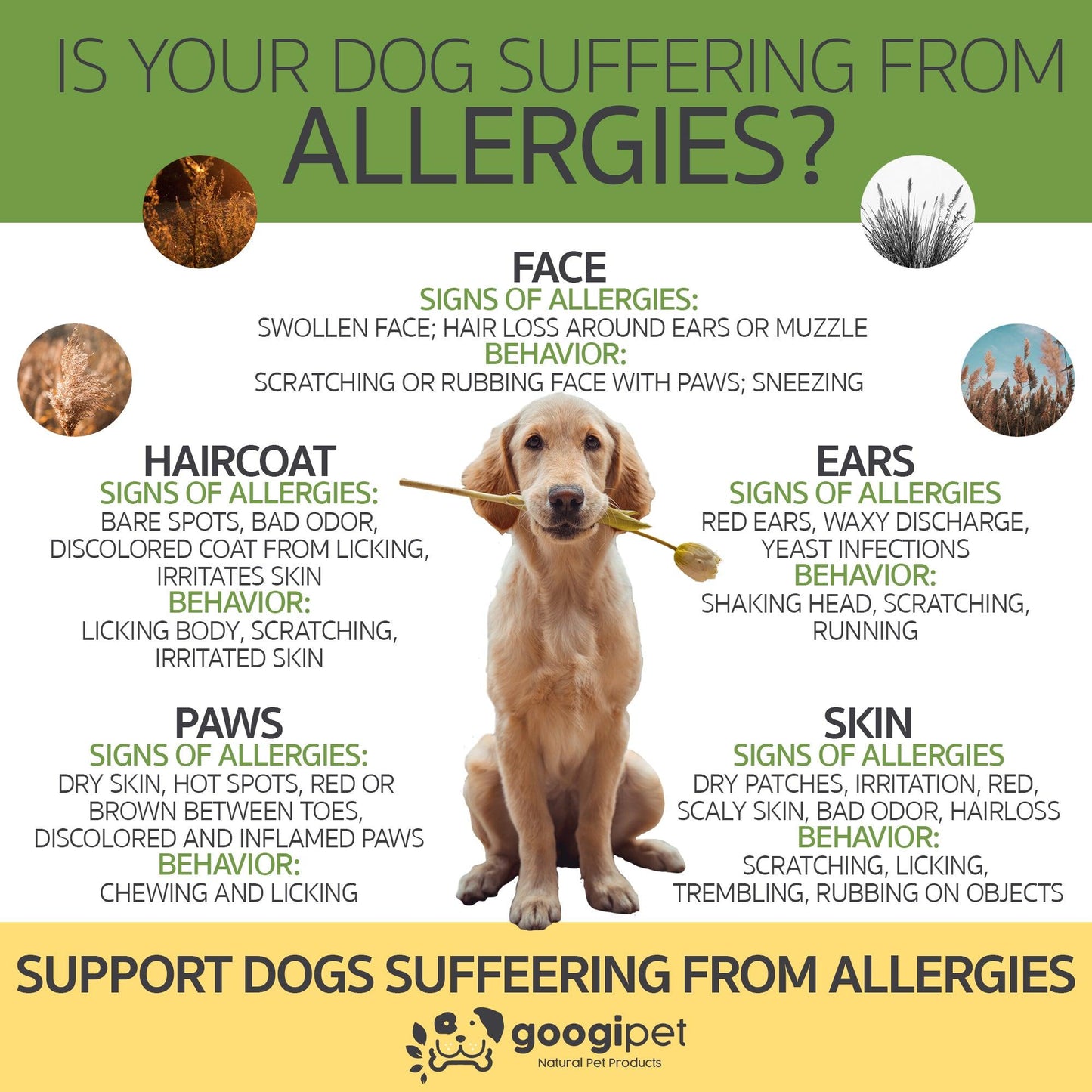 Masticables para Alergias y Apoyo Inmunitario para Perros (Sabor Mantequilla de Cacahuete)