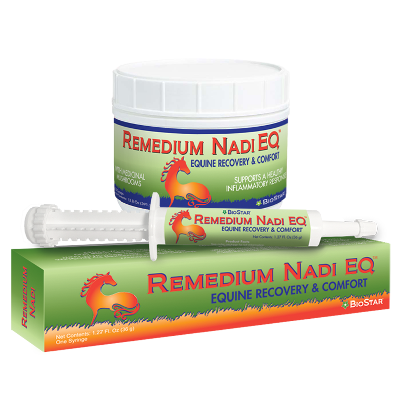 Remedium Nadi EQ