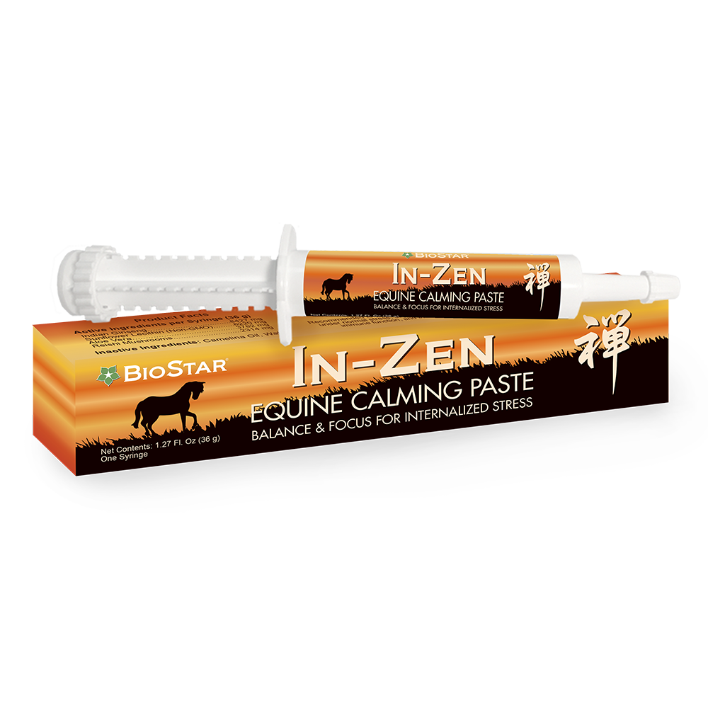 Zen Equine Syringes