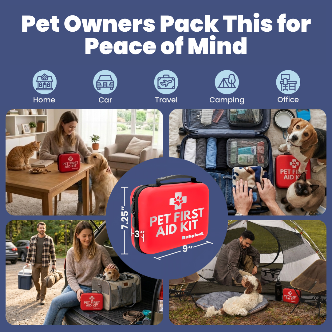 Trousse de premiers secours pour chiens et chats avec articles essentiels approuvés par les vétérinaires