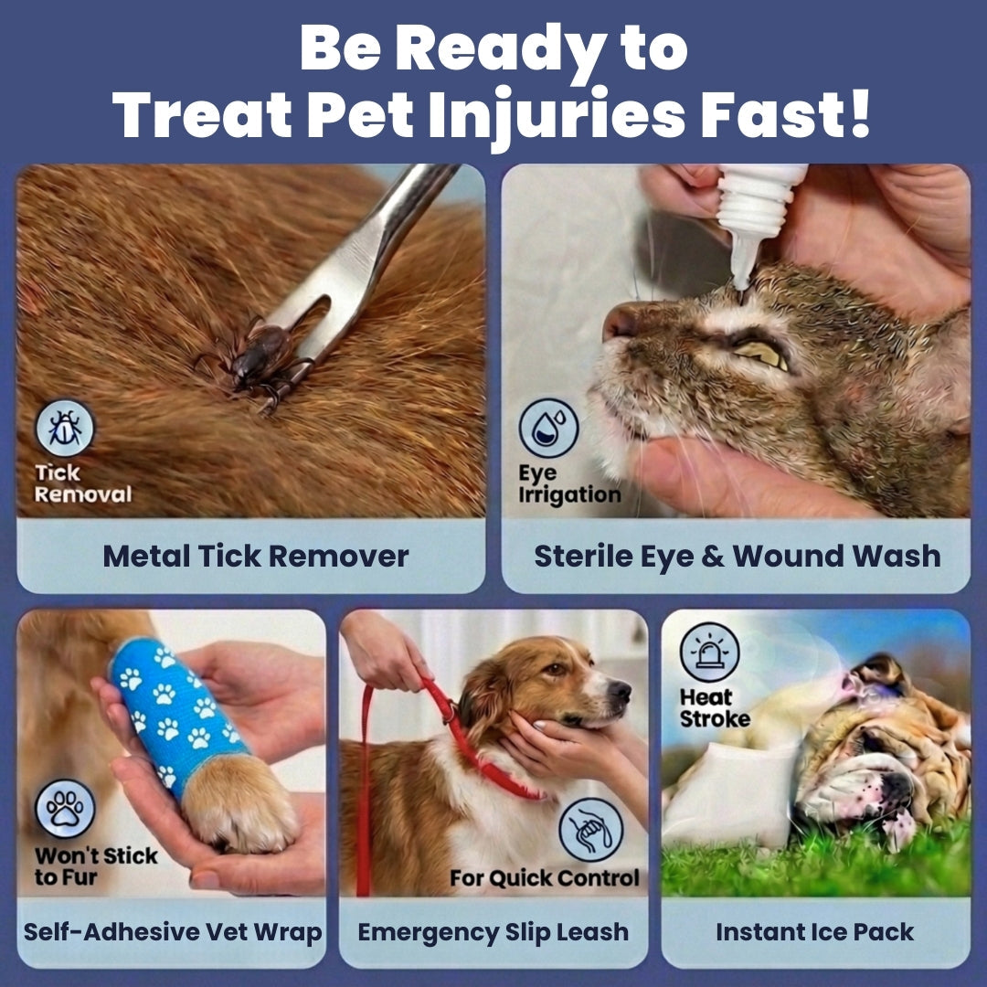 Trousse de premiers secours pour chiens et chats avec articles essentiels approuvés par les vétérinaires