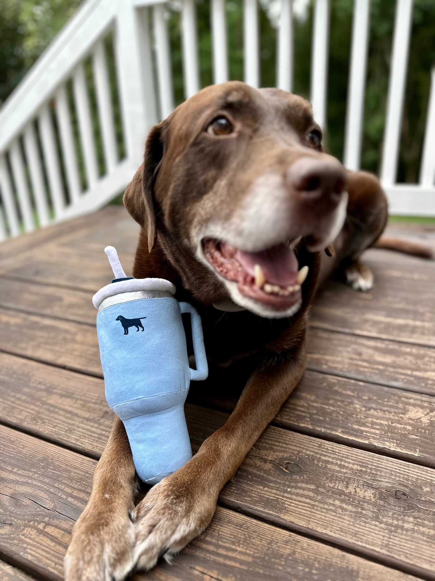 PUPROAR Pup Cup Juguete para perros | Lindo vaso de peluche con chirrido para perros