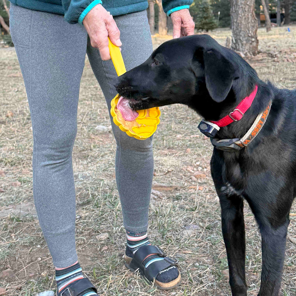 eStick Juguete interactivo de enriquecimiento de mano para perros - Lick Stick | Fabricado en EE. UU.