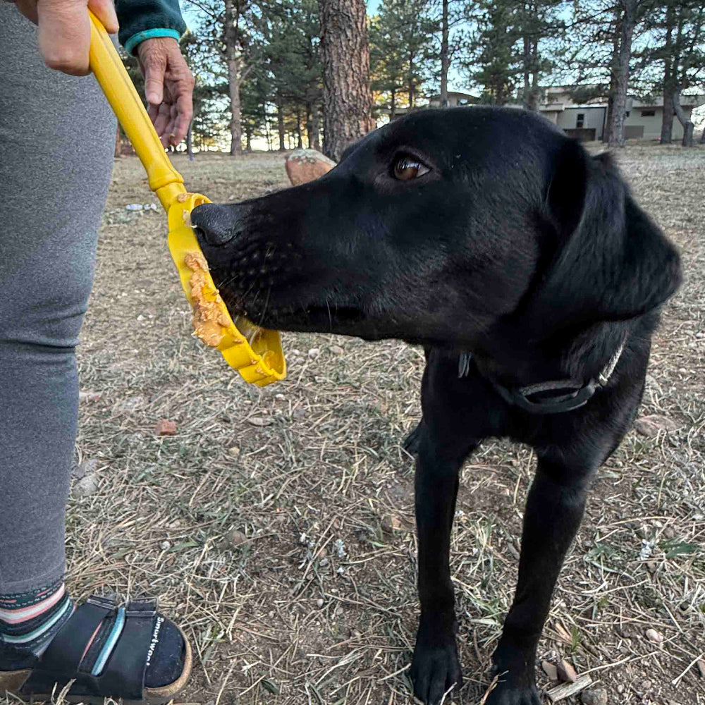 eStick Juguete interactivo de enriquecimiento de mano para perros - Lick Stick | Fabricado en EE. UU.