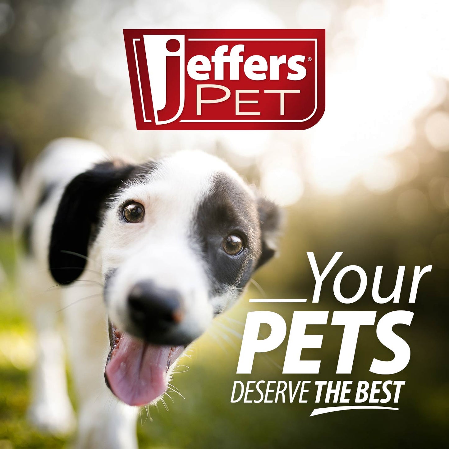 Shampoing Hypoallergénique Entièrement Naturel à l'Avoine et à la Pomme Jeffers Pet pour Chiens et Chats à Peau Sèche
