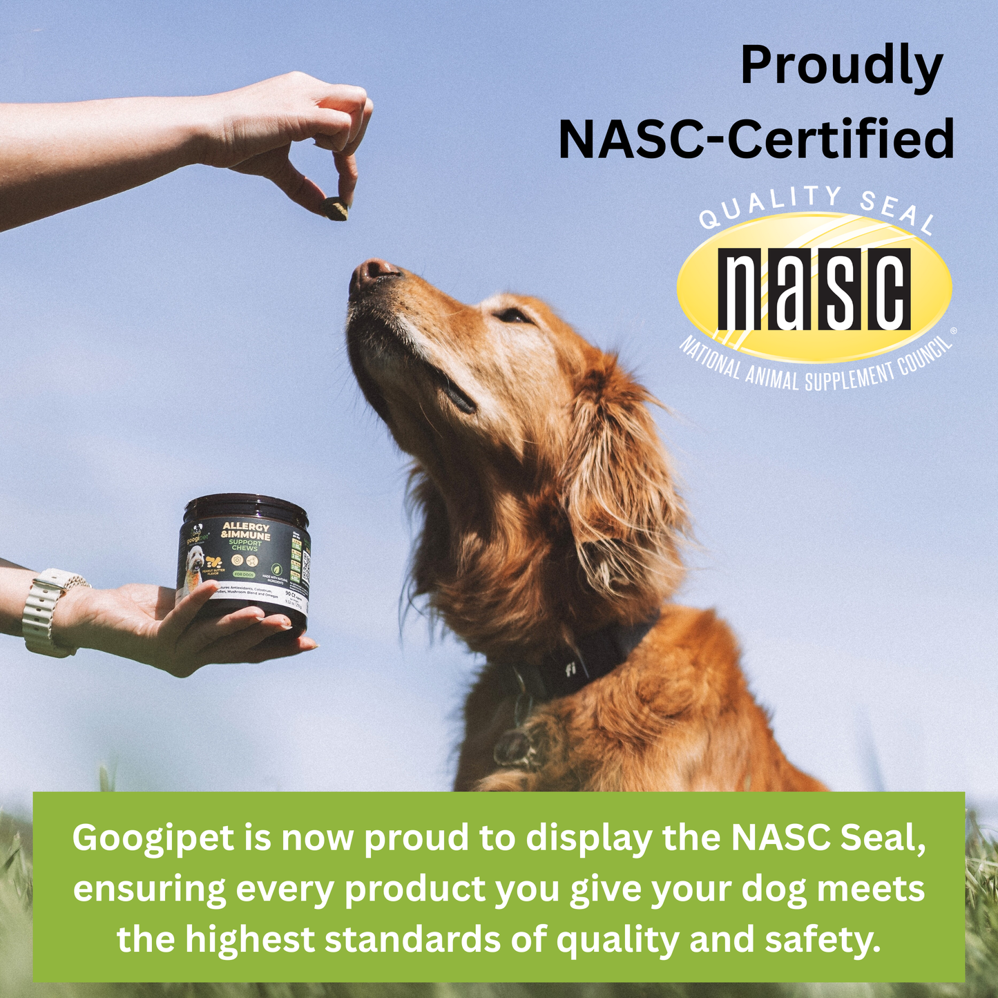 Masticables para Alergias y Apoyo Inmunitario para Perros (Sabor Mantequilla de Cacahuete)