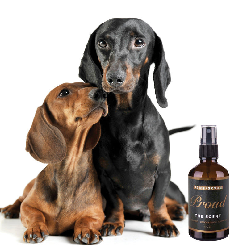 Aroma Característico de PROUD