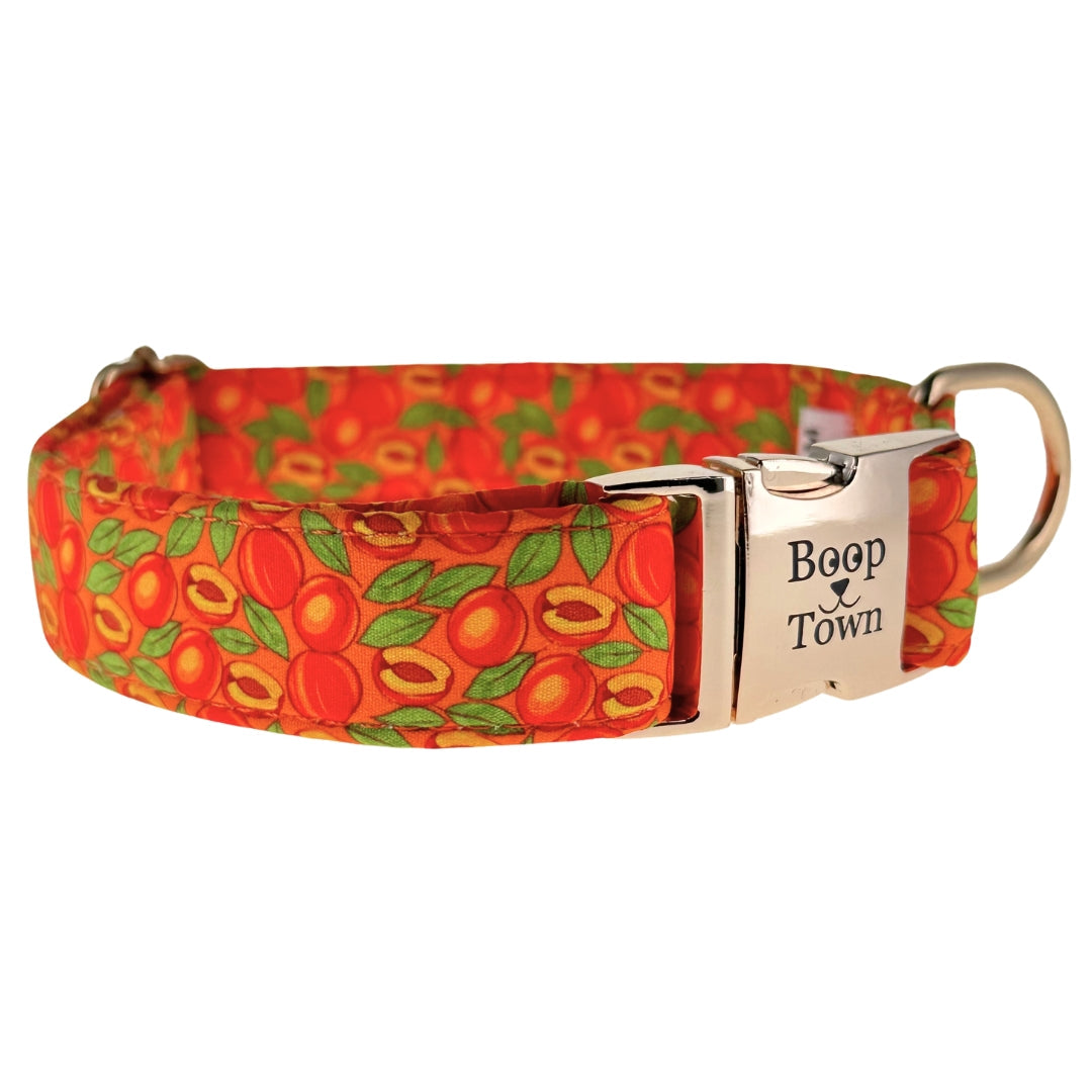 Collier pour chien Boop Town en coton doux – Anti-nœuds et noyau en nylon durable – Boucle à dégagement rapide en métal – Ajustable pour chiens de petite, moyenne et grande taille (XL) – Accents dorés