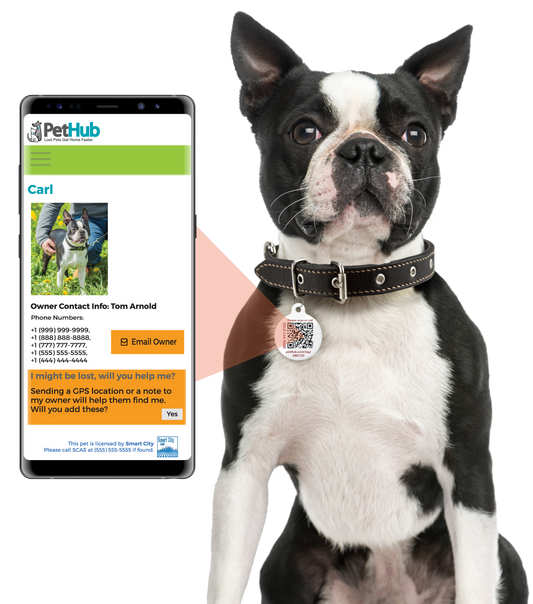 PetHub QR Pet ID Tag – Absent Without a Leash (AWOL)