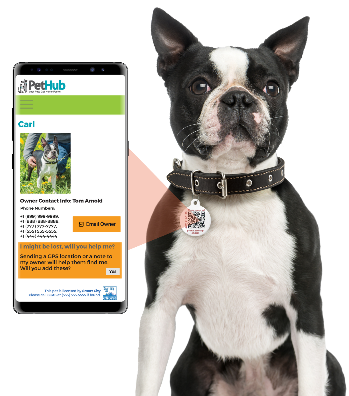 PetHub QR ID pour animaux de compagnie – Maître de l'évasion