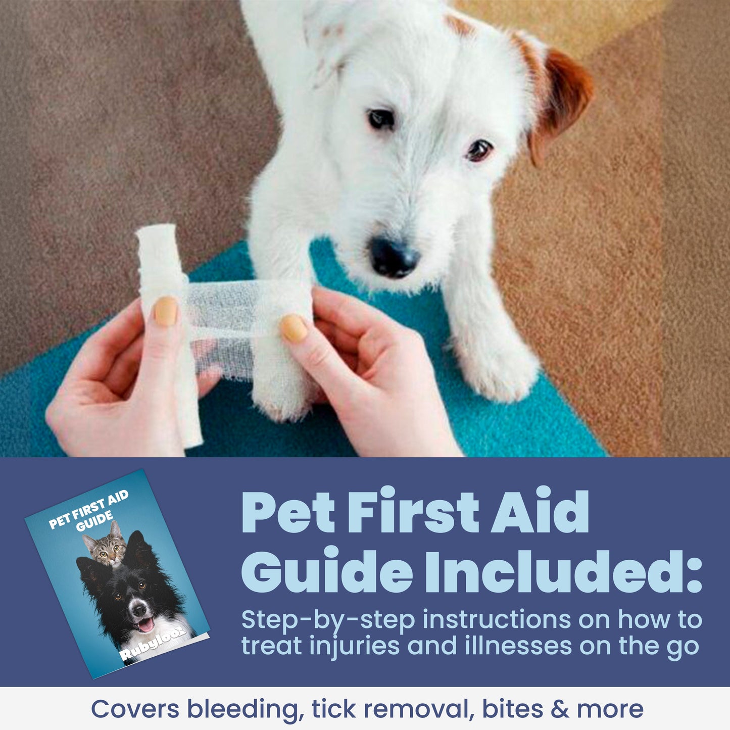 Trousse de premiers secours pour chiens et chats avec articles essentiels approuvés par les vétérinaires