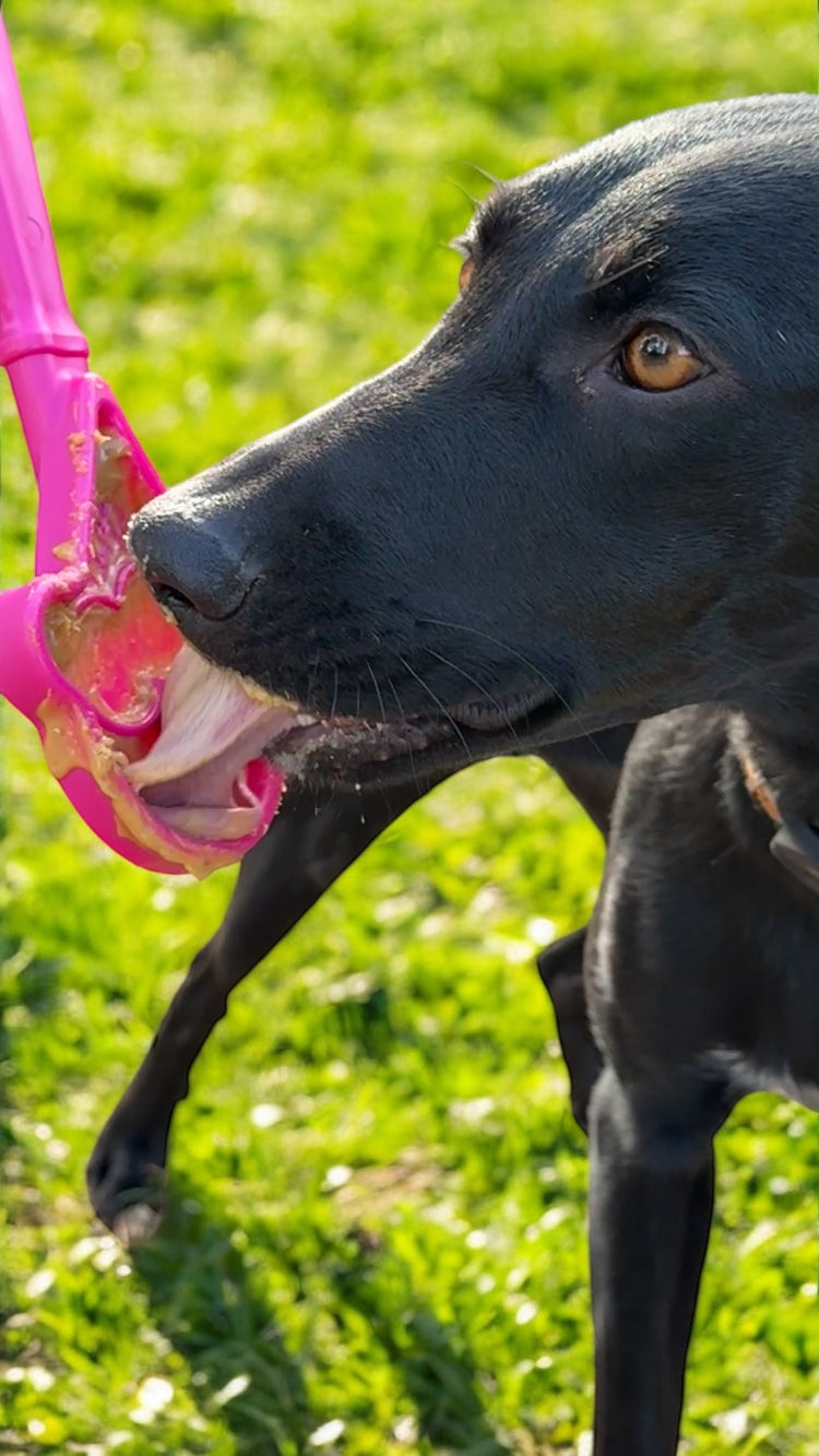 eStick Juguete interactivo de enriquecimiento de mano para perros - Lick Stick | Fabricado en EE. UU.
