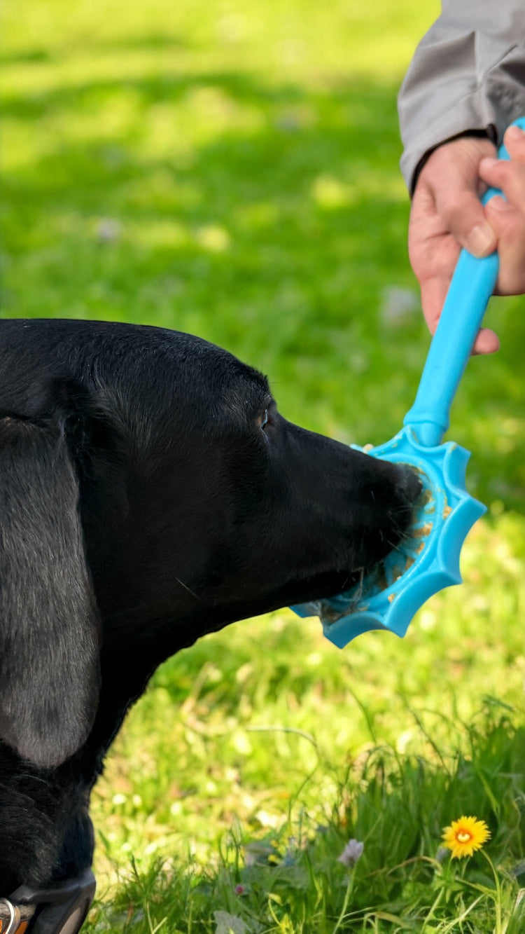 eStick Juguete interactivo de enriquecimiento de mano para perros - Lick Stick | Fabricado en EE. UU.