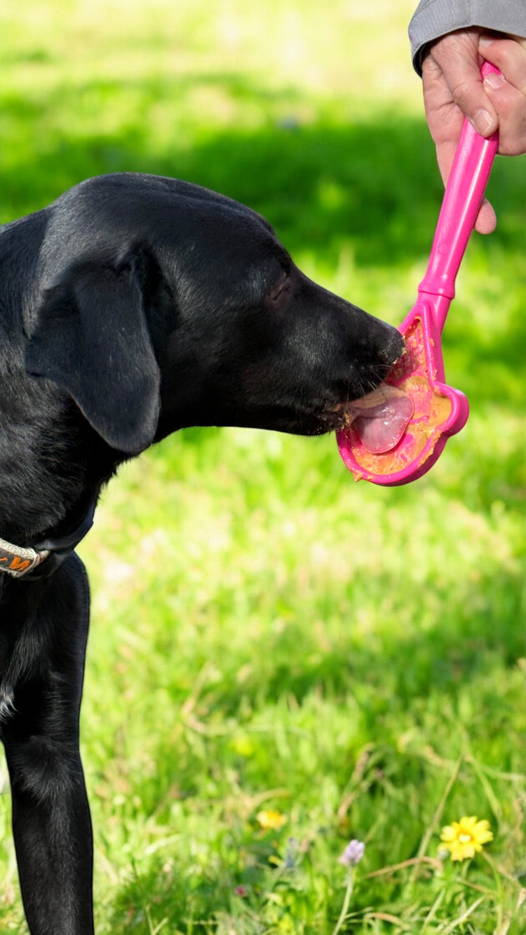 eStick Juguete interactivo de enriquecimiento de mano para perros - Lick Stick | Fabricado en EE. UU.