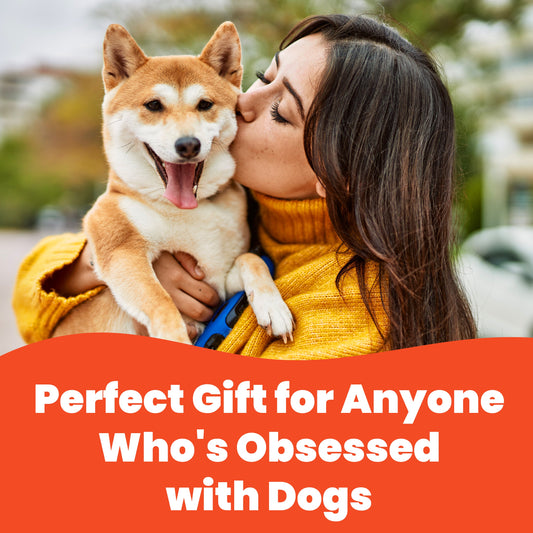 Ensembles de stylos tactiles sur le thème des chiens