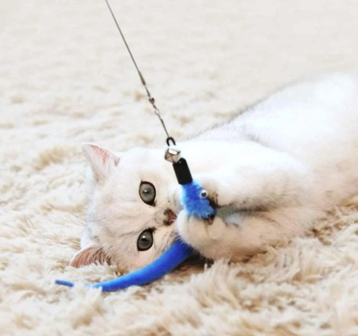 Set de 11 Juguetes Retráctiles con Plumas para Gatos