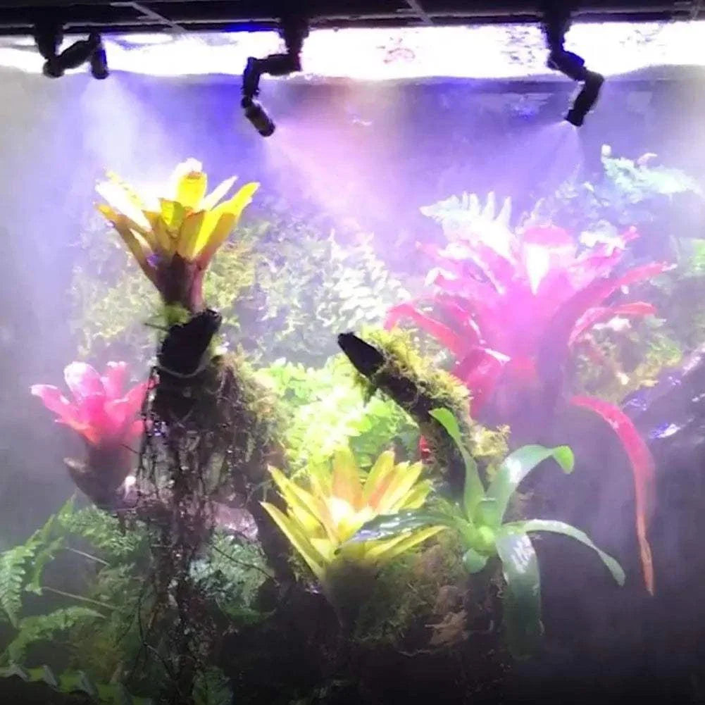 Buse de brumisation 360° réglable pour reptiles – Brumisateur haute pression pour terrariums, serres et enclos de forêt tropicale
