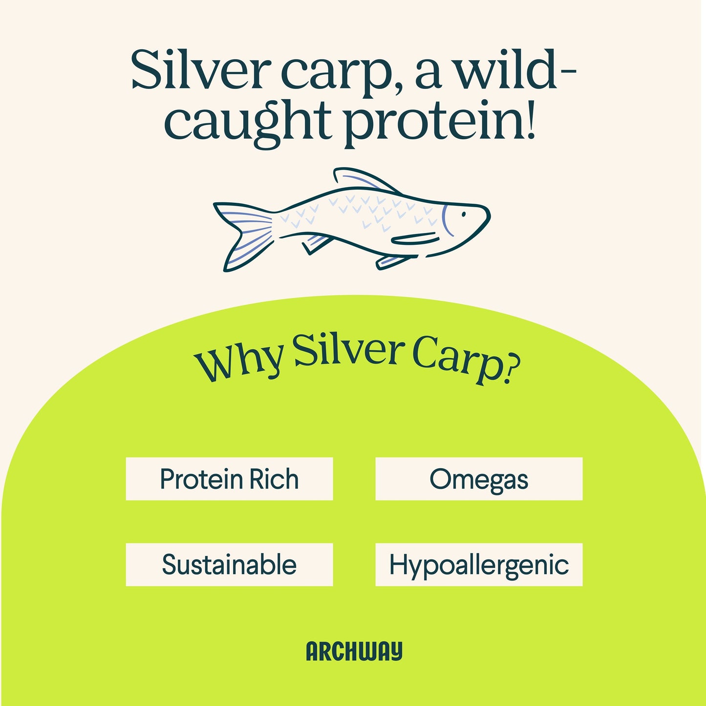 Silver Carp and Sweet Potato Biscuit