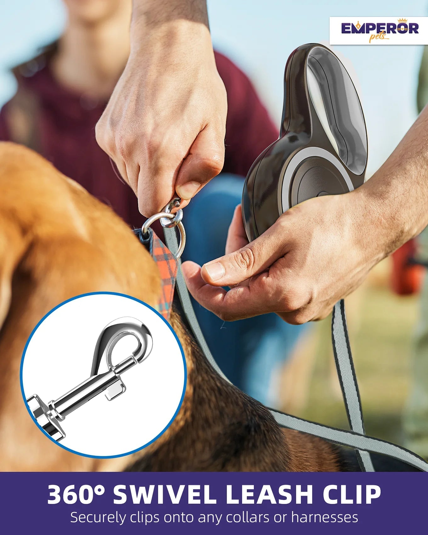 ¡Libera la aventura! 🌟 Correa Retráctil Resistente de 4.8m para Perros Grandes (hasta 50 kg) 🐾