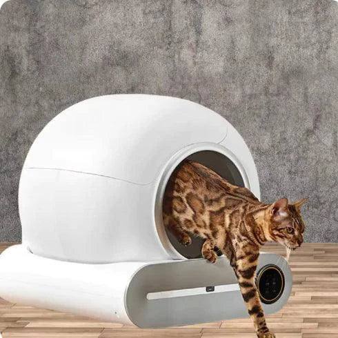 Arenero autolimpiable para gatos