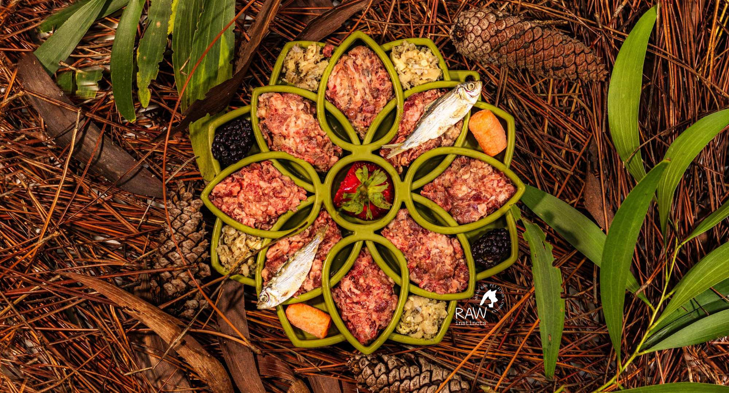 Mélange de bœuf cru et de saumon sauvage pour chats et chiens — Prey Model Raw | Raw Instincts Florida