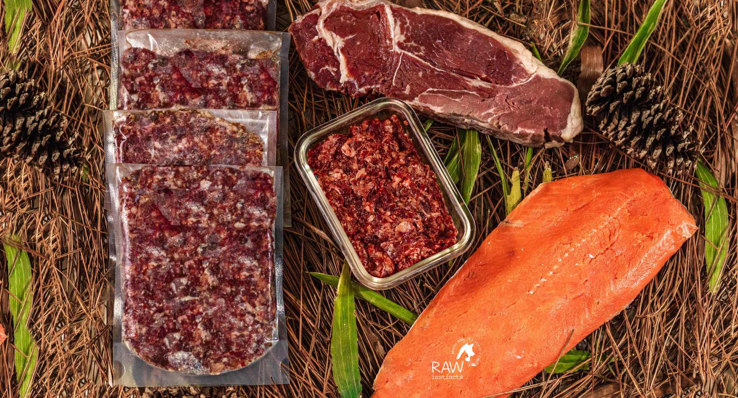 Mélange de bœuf cru et de saumon sauvage pour chats et chiens — Prey Model Raw | Raw Instincts Florida