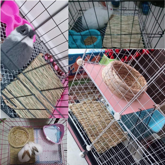 Le Chewing-athon Ultime : 12 Tapis en Herbe pour la Pause Collation et la Zone de Sieste de Vos Amis à Fourrure !