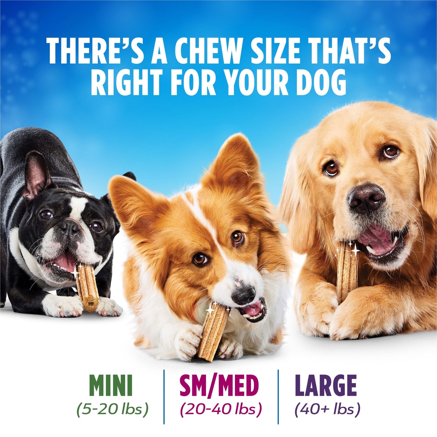 Purina Daily Oral Care Premios Dentales Grandes para Perro con Pollo