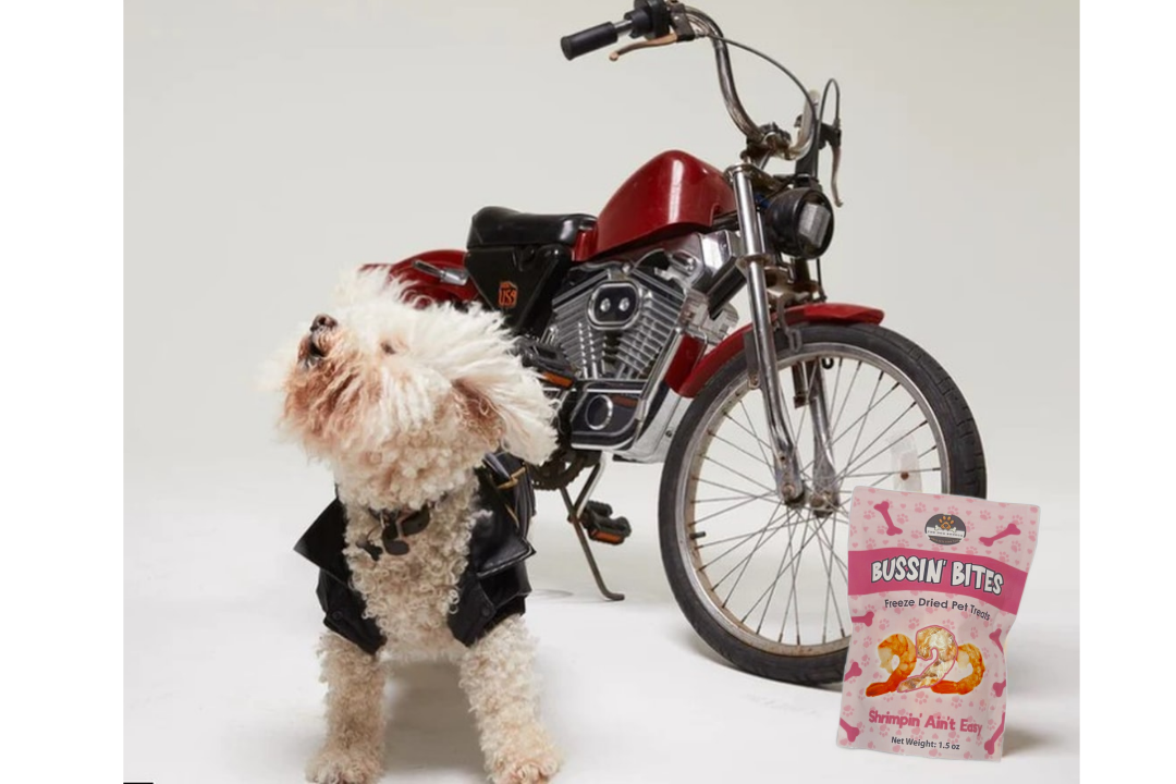 Golosinas de Entrenamiento Liofilizadas de Un Solo Ingrediente y Alto Valor para Perros y Gatos - Camarones