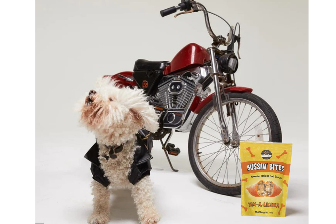 Friandises d'entraînement lyophilisées à ingrédient unique et de grande valeur pour chiens et chats - Patate douce