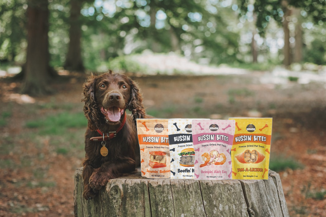 Friandises d'entraînement lyophilisées à ingrédient unique et de grande valeur pour chiens et chats - Patate douce