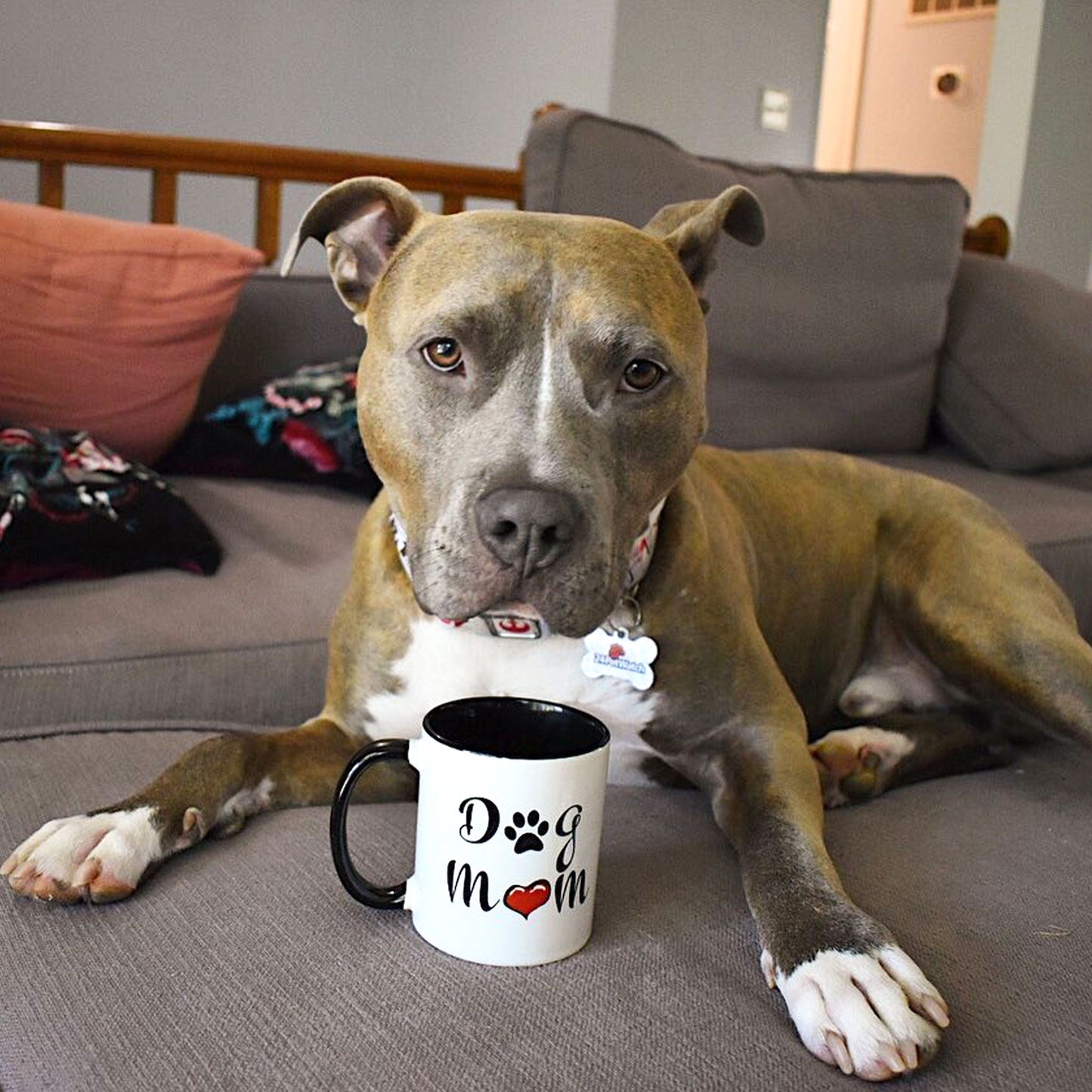 Mug "Maman Chien" avec anse colorée