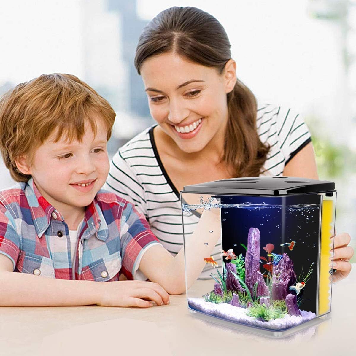 Acuario para Betta de 1.2 galones con luz LED y bomba de filtro
