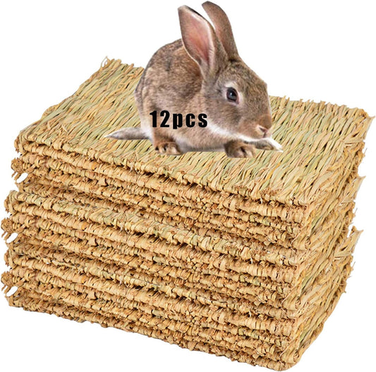 Le Chewing-athon Ultime : 12 Tapis en Herbe pour la Pause Collation et la Zone de Sieste de Vos Amis à Fourrure !