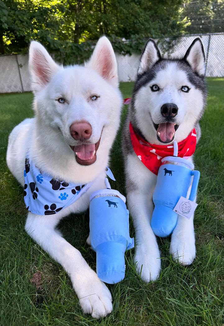 PUPROAR Pup Cup Juguete para perros | Lindo vaso de peluche con chirrido para perros