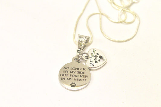 No Longer By My Side But Forever In My Heart Silver Necklace, Loved Pet Memorial Jewelry Gift For Her, Sympathy Pet Remembrance