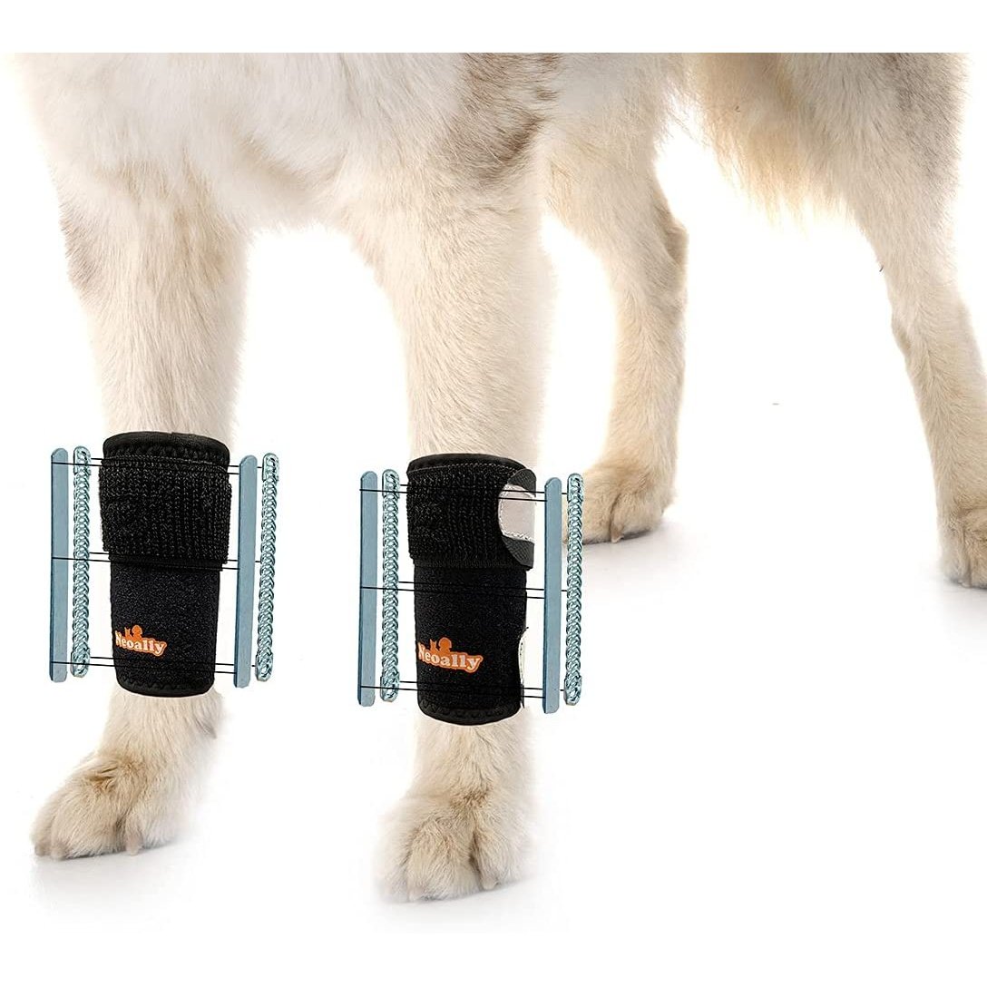 Attelle de patte avant 3-en-1 NeoAlly pour chien : inserts rigides et à ressort, sangles réfléchissantes de sécurité (paire)