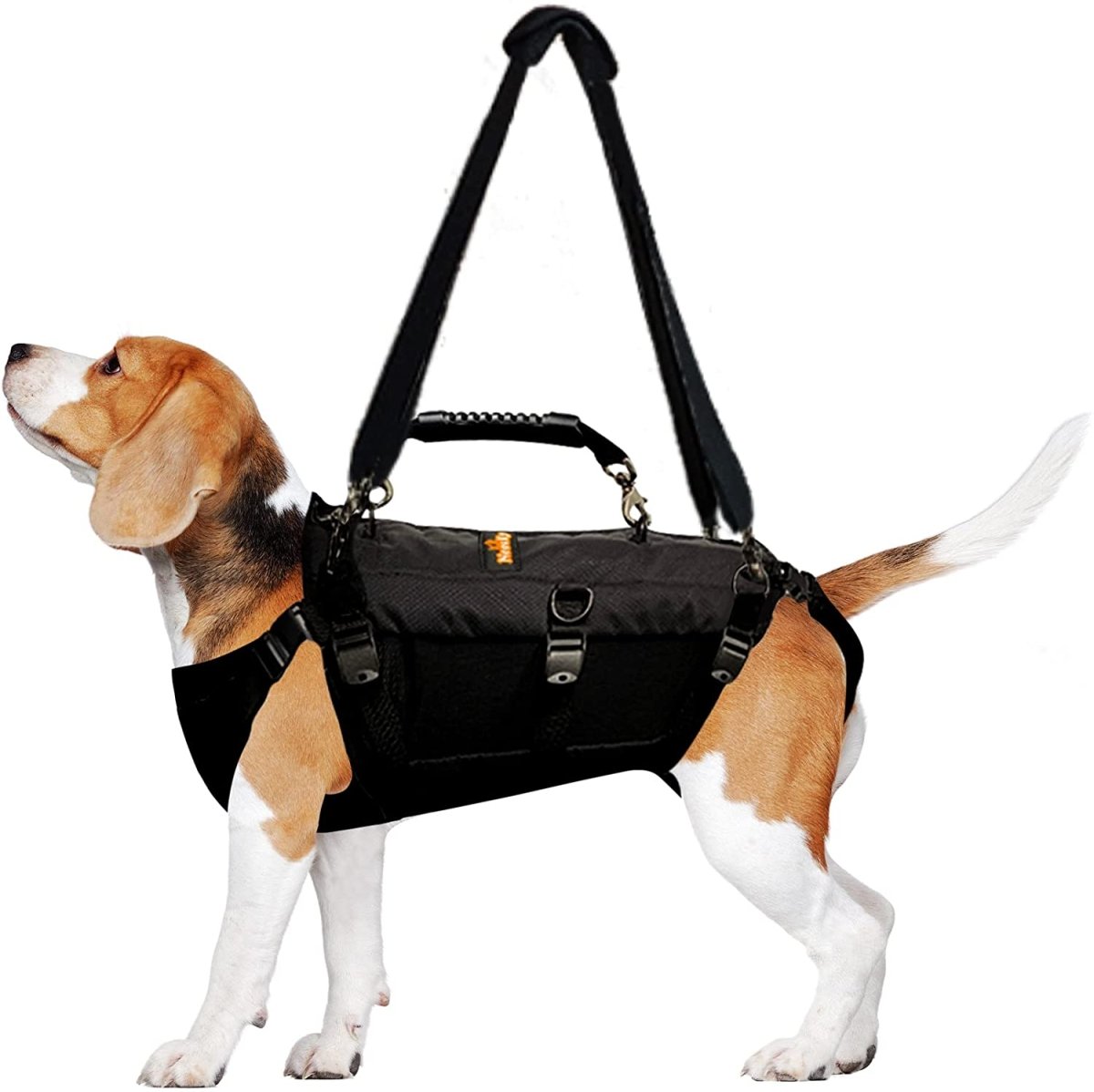 Harnais de levage pour chien NeoAlly 5-en-1 Robuste Soutien complet du corps