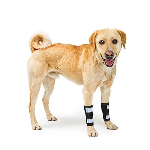 Rodillera delantera NeoAlly para perro con correas reflectantes - Insertos de resorte metálicos para soporte carpiano (par)