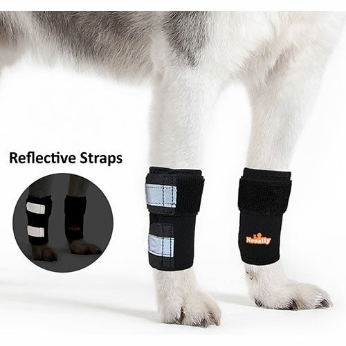 NeoAlly Rodilleras Delanteras para Perros: Mejora la Seguridad con Correas Reflectantes (Par)