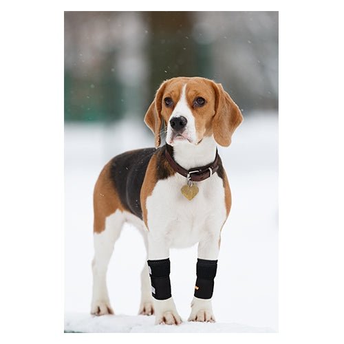 NeoAlly Rodilleras Delanteras para Perros: Mejora la Seguridad con Correas Reflectantes (Par)