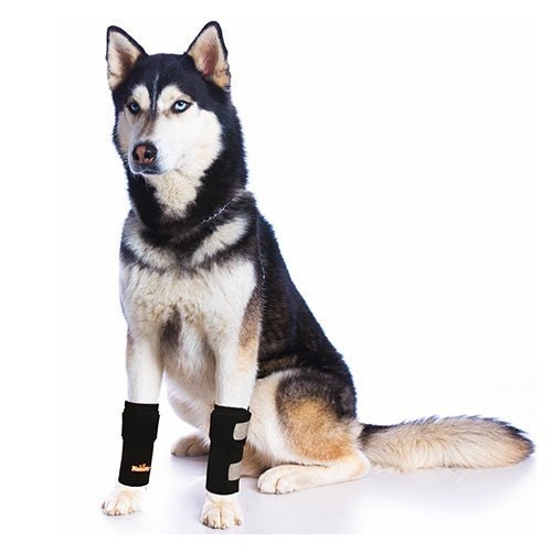 NeoAlly Rodilleras Delanteras para Perros: Mejora la Seguridad con Correas Reflectantes (Par)