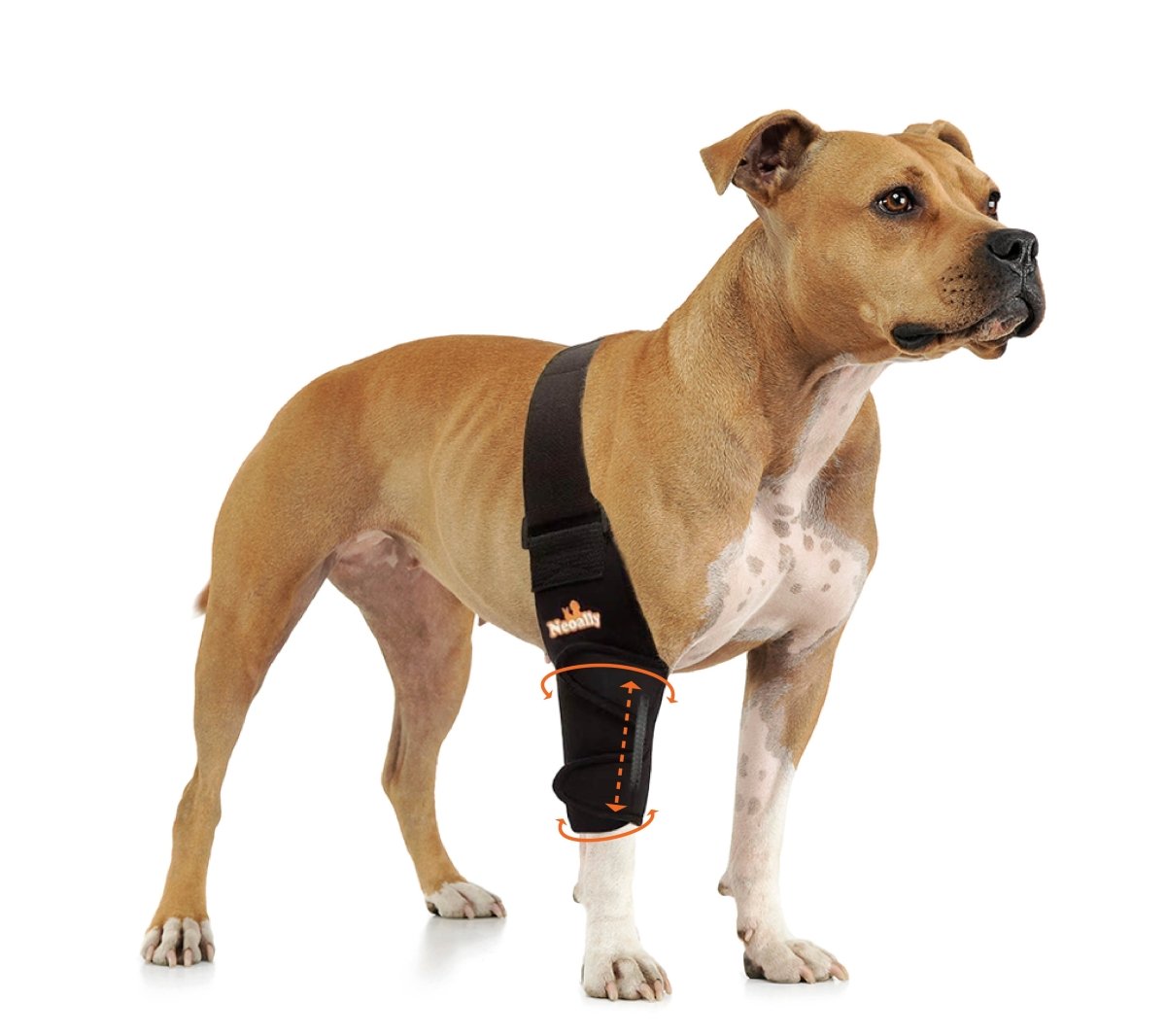 Codera y hombrera NeoAlly con resortes para perros y gatos - Mejora la movilidad de tu mascota con un soporte óptimo